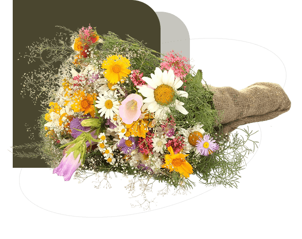 Seasonal Flowers
